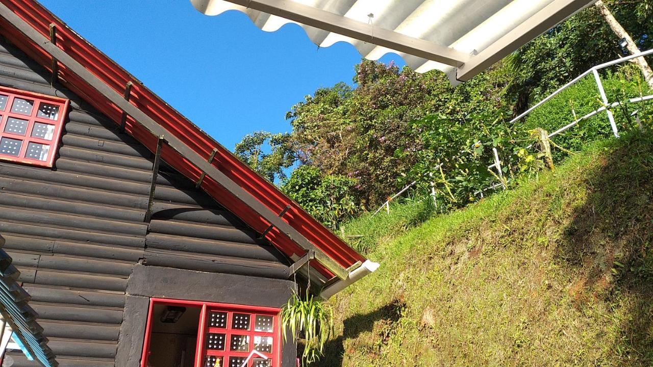 Bosque De Niebla Birding & Nature Cali Exterior foto