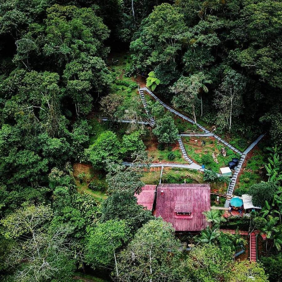 Bosque De Niebla Birding & Nature Cali Exterior foto